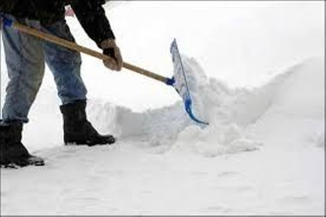 ایزوگام مقاوم در سرما چیست؟ راهنمای کامل خرید+قیمت